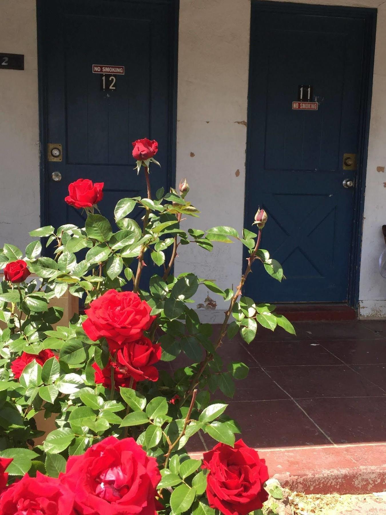 Townhouse Motel ビショップ エクステリア 写真