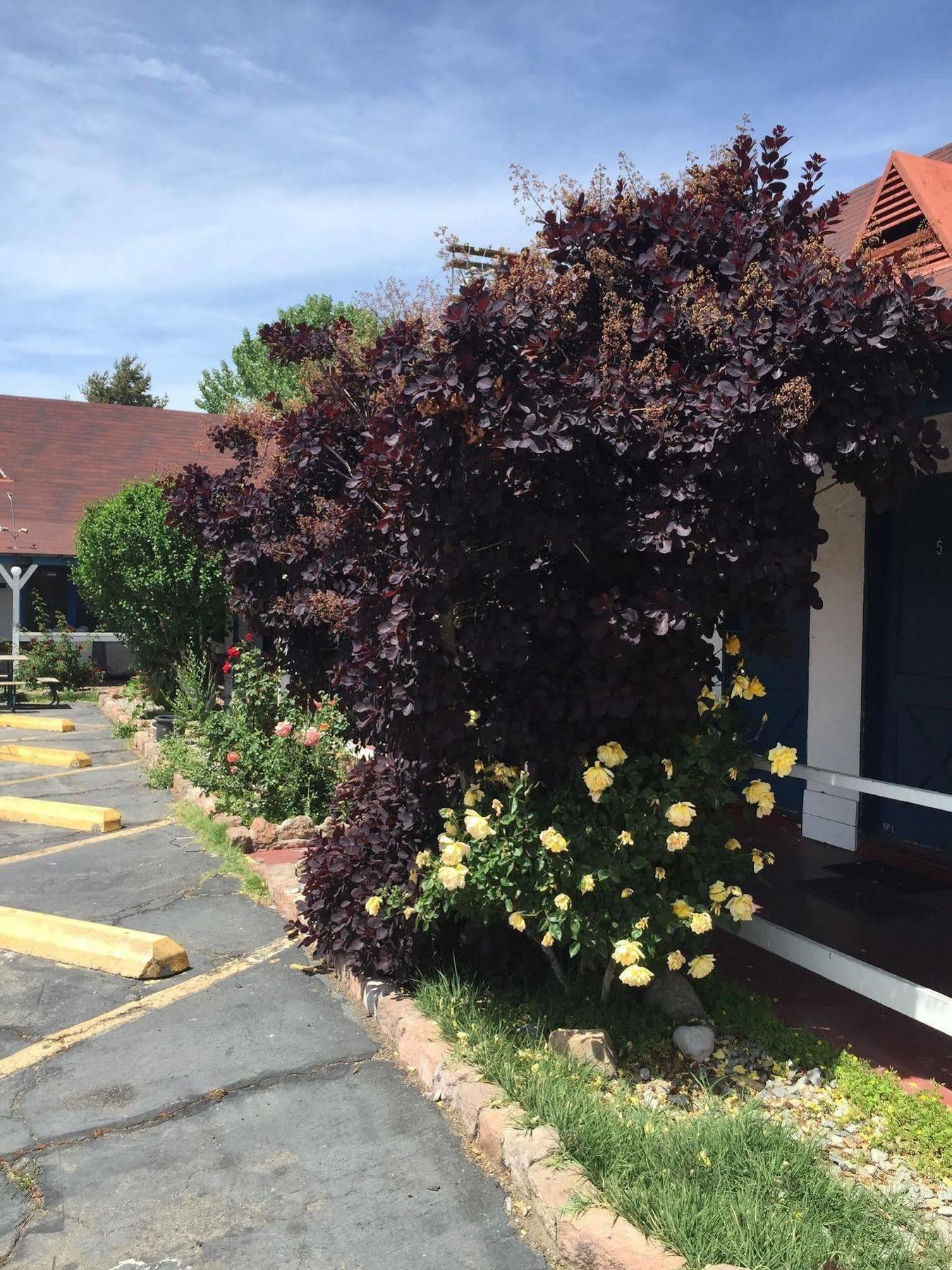 Townhouse Motel ビショップ エクステリア 写真